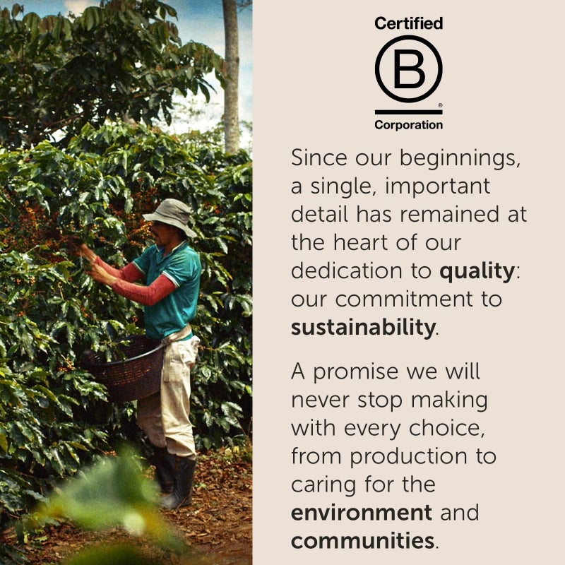 illy Arabica Selections Brasile - Cerrado Mineiro Whole Bean Coffee, Regenerative Agriculture Coffee, 8.8oz (Pack of 1) - Image 4